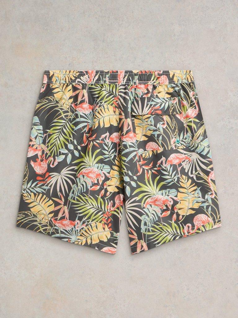 Flamingo Swimshort in BLK PR - FLAT BACK