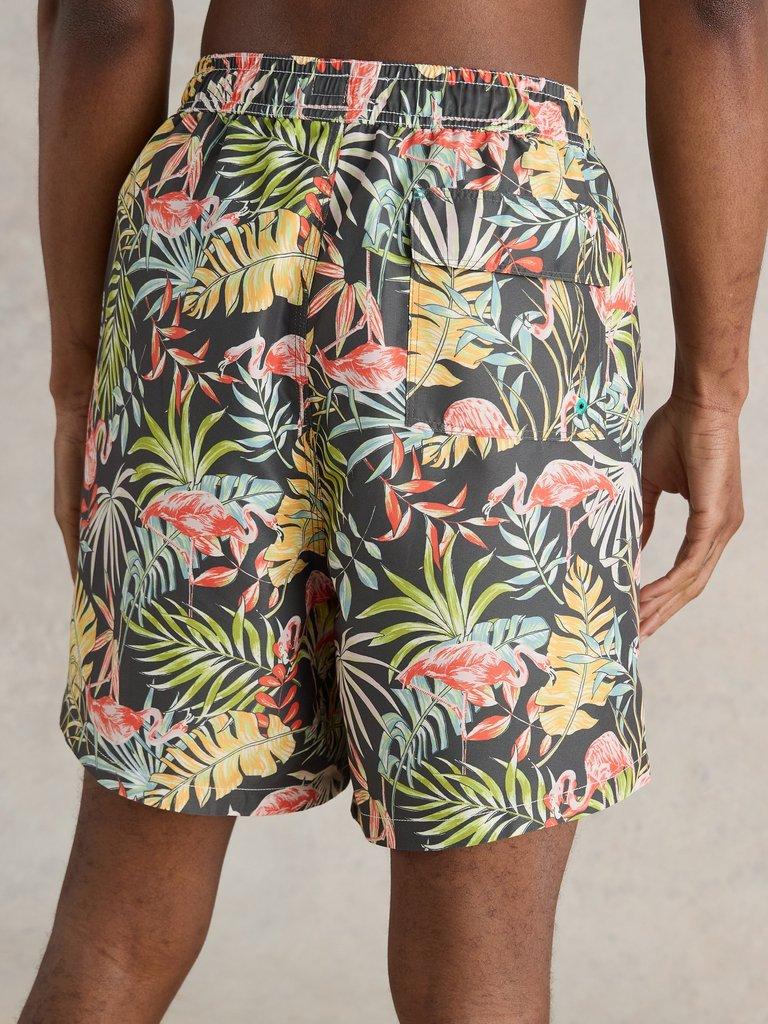 Flamingo Swimshort in BLK PR - MODEL BACK