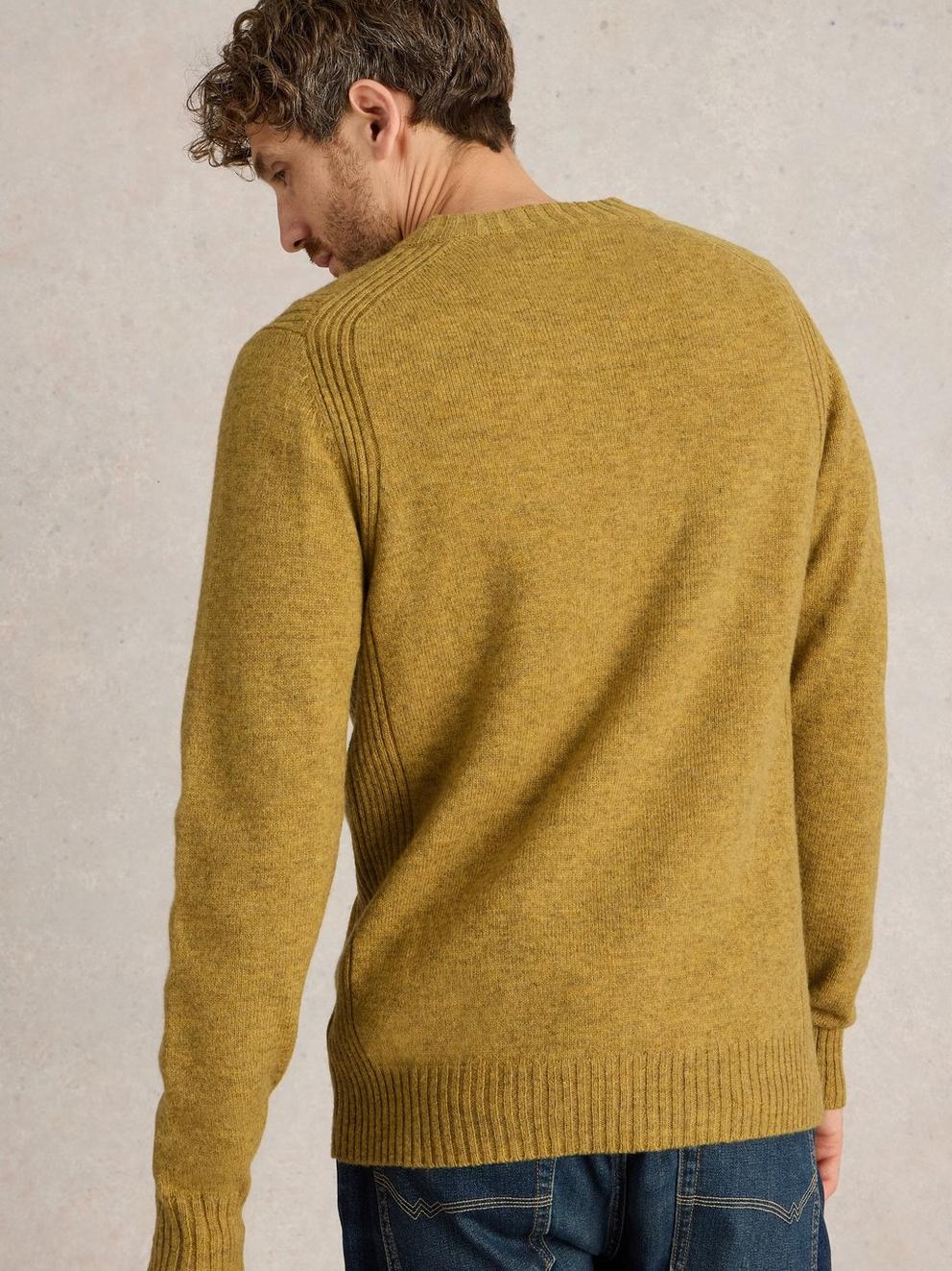 Lambswool Henley in DK YELLOW - MODEL BACK