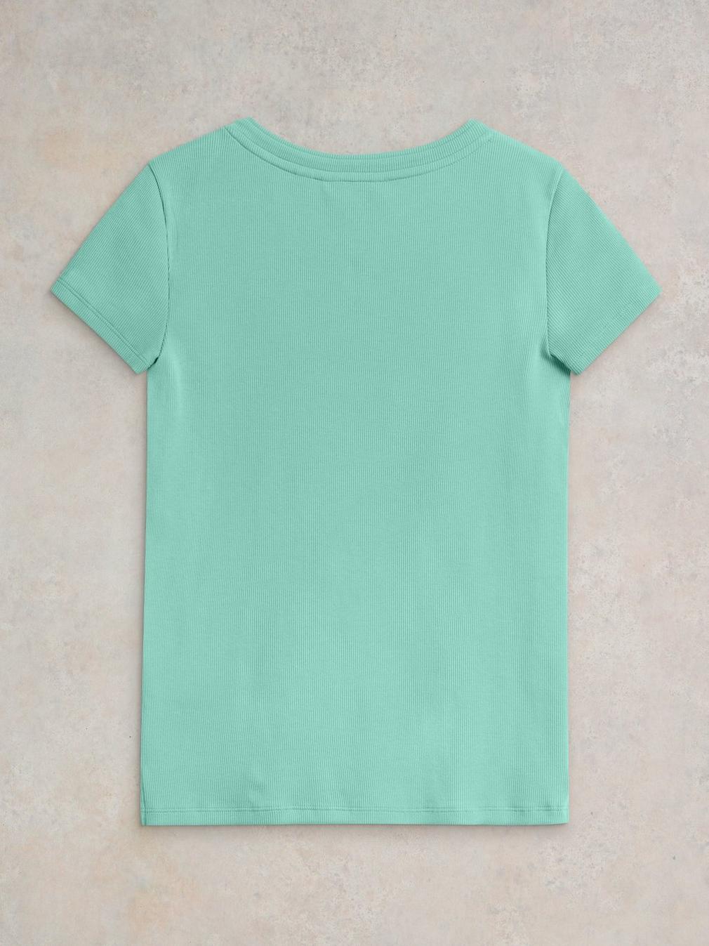 AIDA TEE in MID GREEN - FLAT BACK