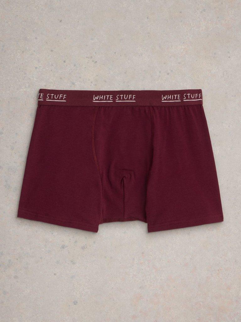 2pack Boxers  Plain  Stripe in PLUM MLT - FLAT BACK