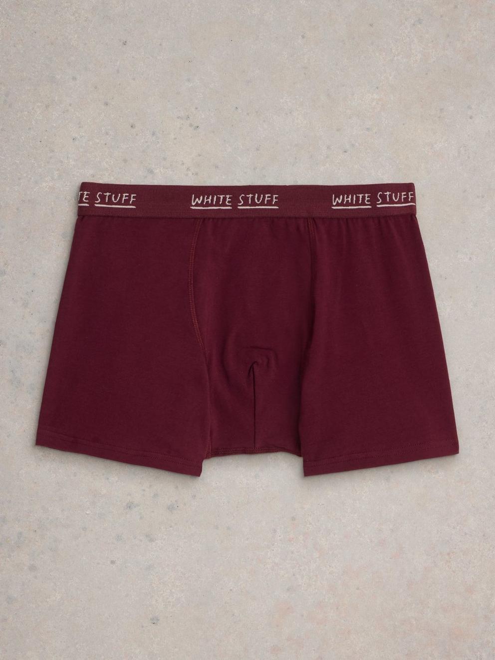 2pack Boxers  Plain  Stripe in PLUM MLT - FLAT BACK