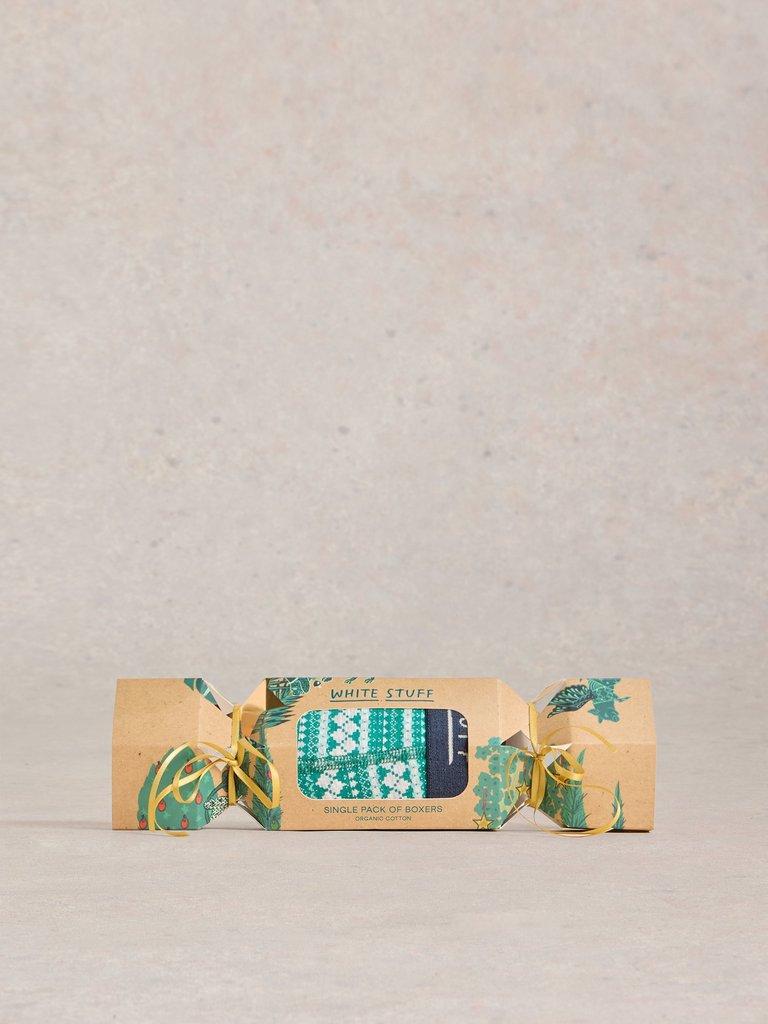 Boxers in a Cracker in TEAL PR - LIFESTYLE