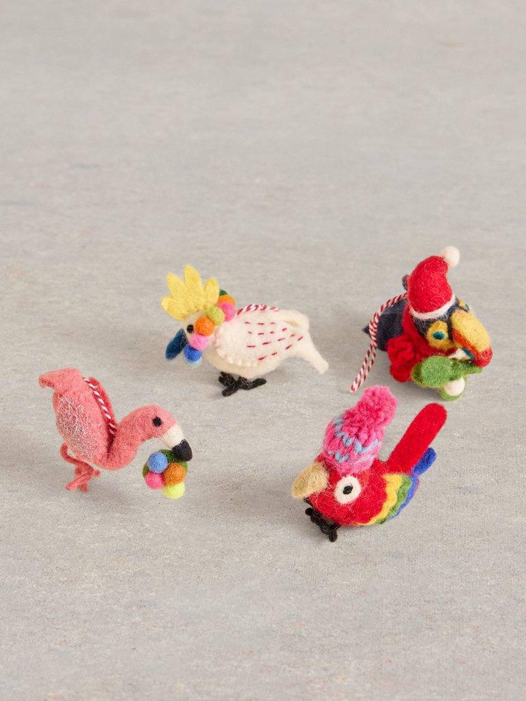 Tropical Birds Egg Box in NAT MLT - FLAT DETAIL