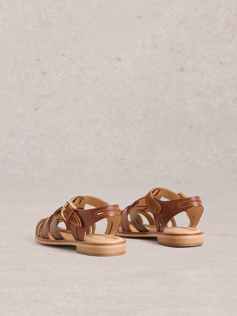 Zara Fisherman Sandal in TAN MULTI - FLAT BACK