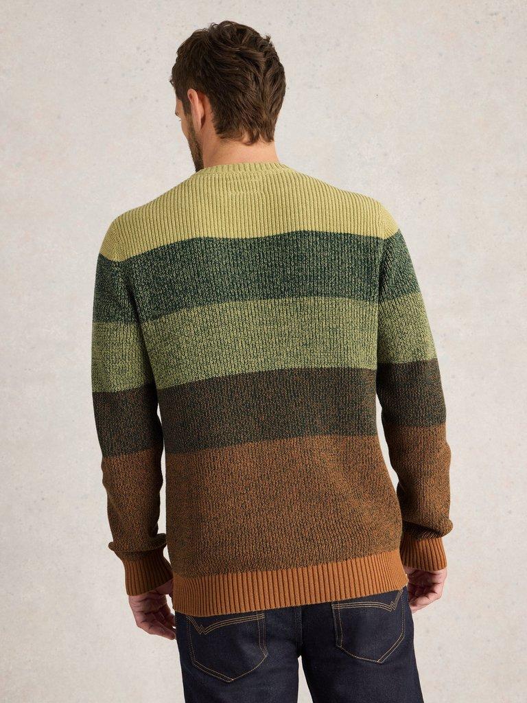 Twisted Colourblock Crew in GREEN MLT - MODEL BACK