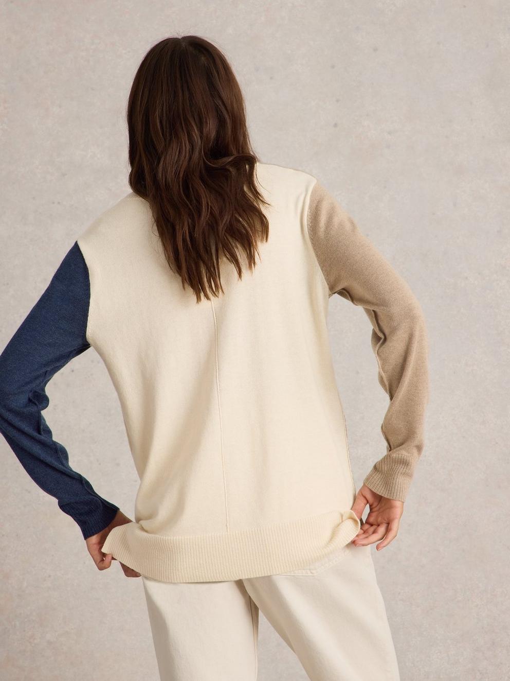 MAGGIE LONG SLEEVE V NECK JUMPER in NAT MLT - MODEL BACK