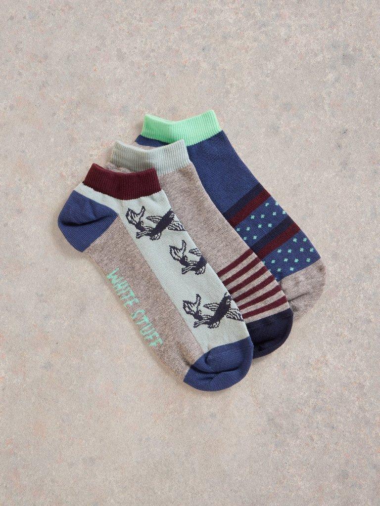 3 Pack Fish Trainer Socks in GREY MLT - FLAT FRONT