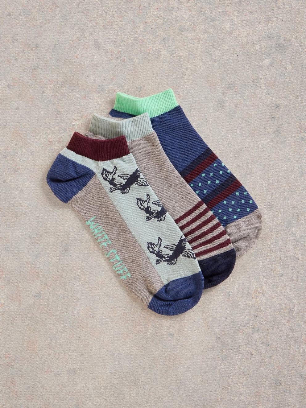 3 Pack Fish Trainer Socks in GREY MLT - FLAT FRONT