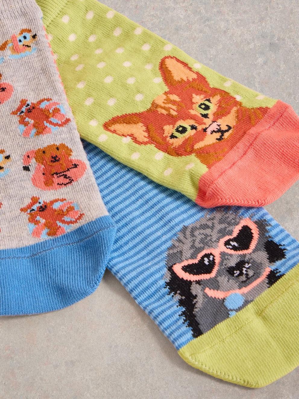 3 Pack Pet Pals Trainer Socks in BLUE MLT - FLAT DETAIL