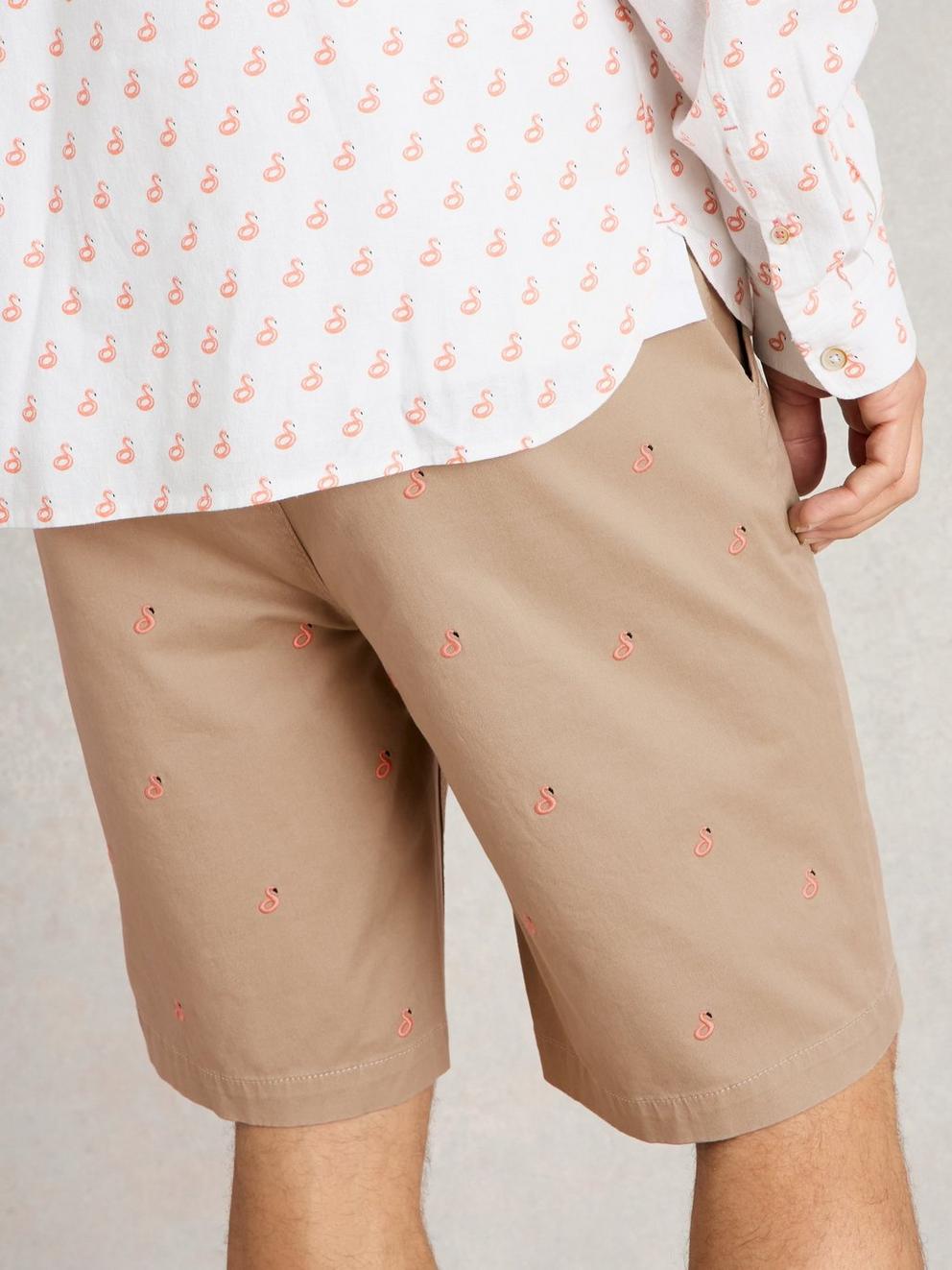 Flamingo Chino Short in NAT PR - MODEL BACK