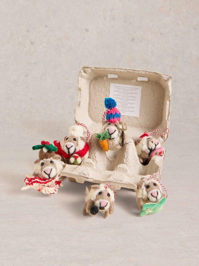 Hobby Sheep Egg Box in NAT MLT - FLAT FRONT