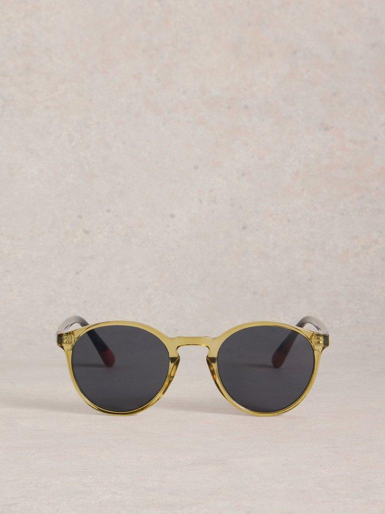 Preppy Round Sunglasses in KHAKI GRN - FLAT BACK