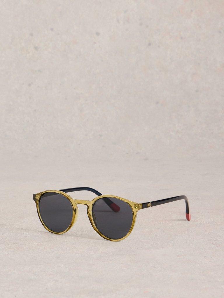 Preppy Round Sunglasses in KHAKI GRN - LIFESTYLE