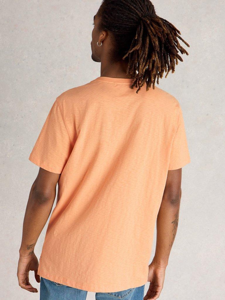 Abersoch Surfs Up Graphic Tee in PINK PR - MODEL BACK