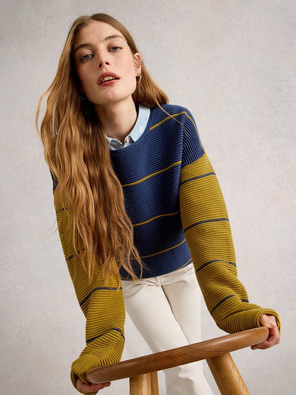 JANA STRIPED CREW NECK JUMPER in NAVY MULTI - LIFESTYLE