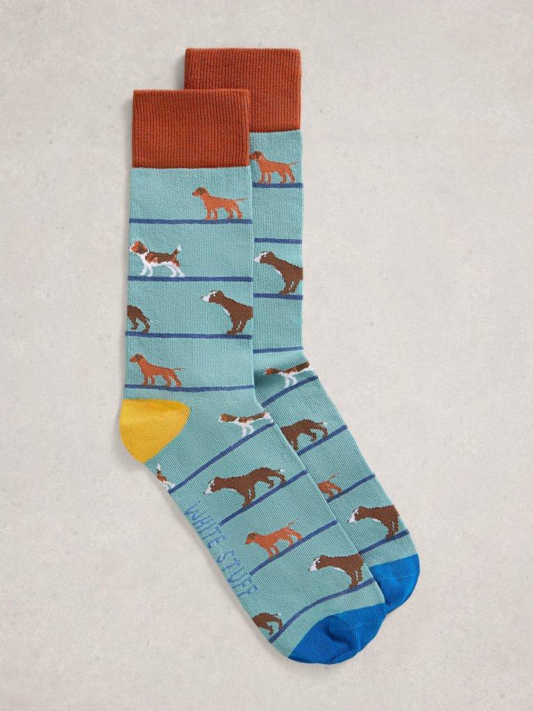 Novelty Ankle Sock in MID BLUE - FLAT FRONT