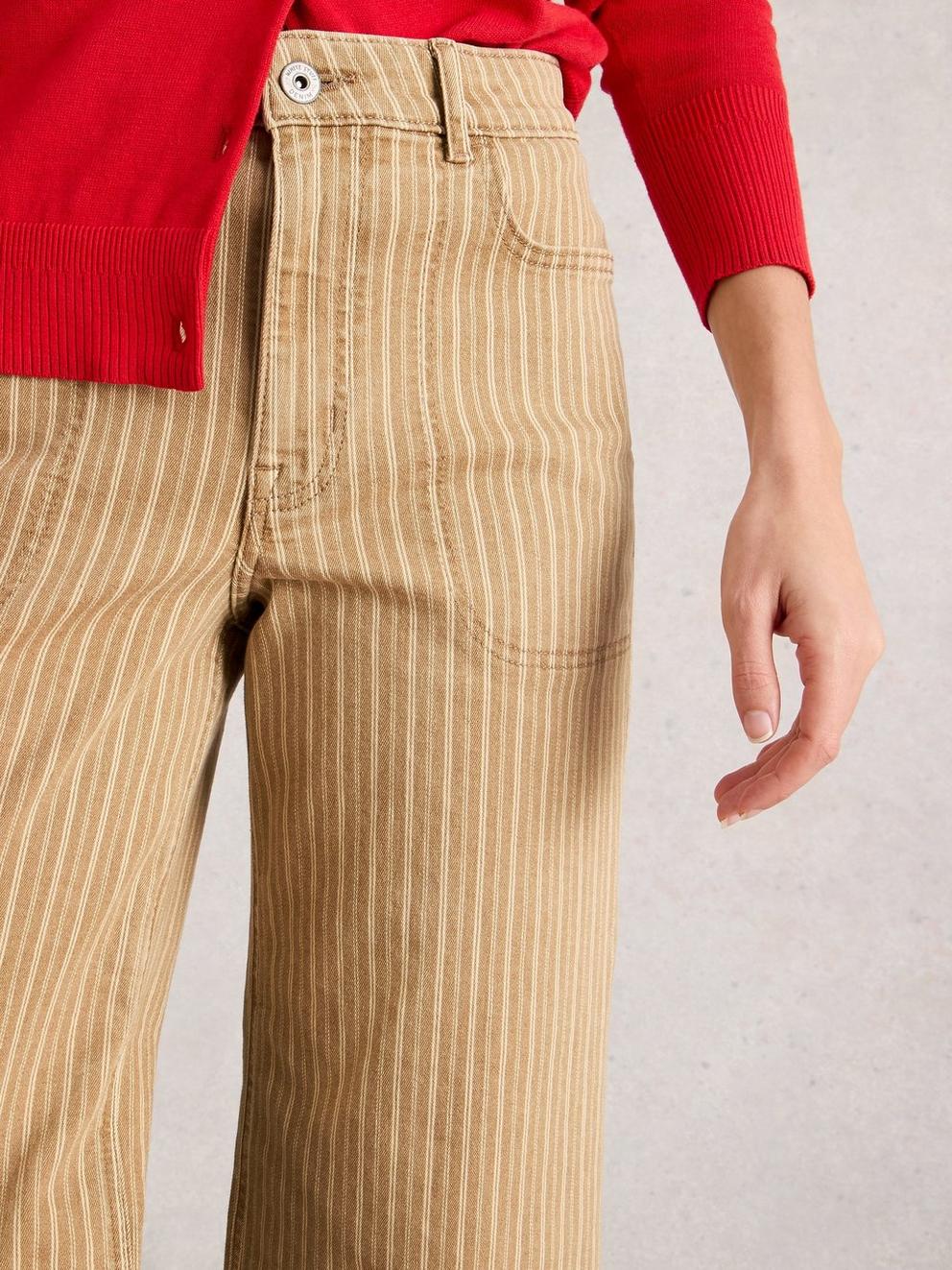Tia Wide Cropped Leg Jean in CHART MLT - MODEL DETAIL