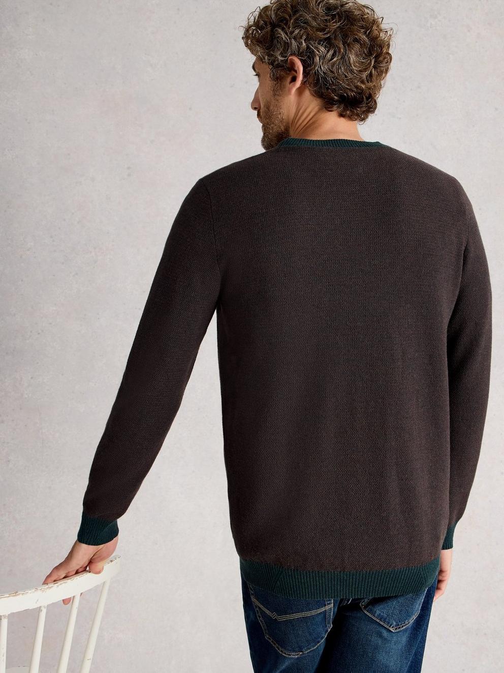 Newport Merino Jacquard Crew in GREEN MLT - MODEL BACK