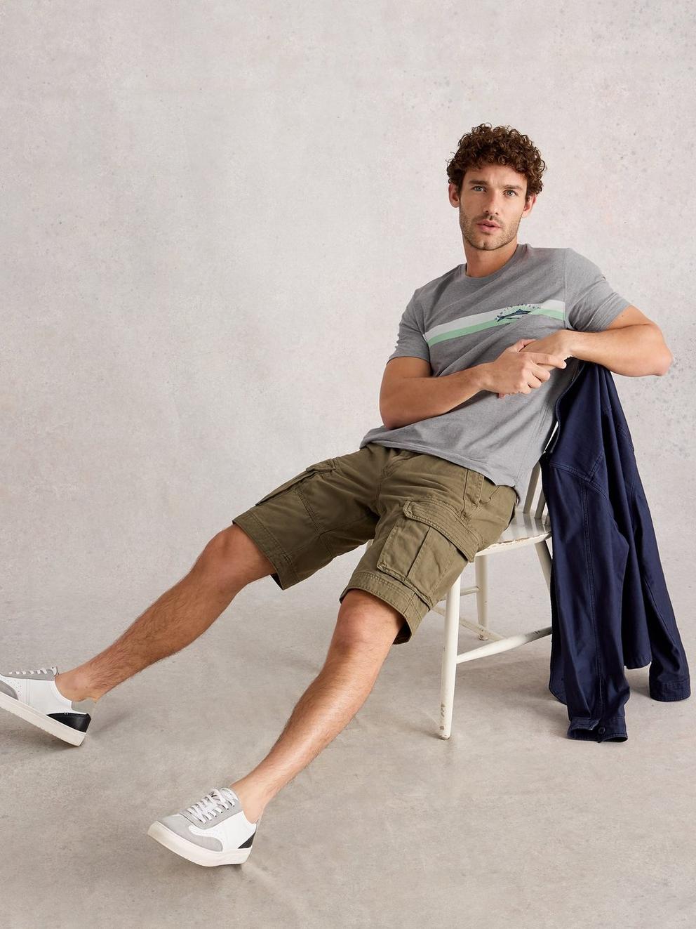 Abersoch Graphic Fish Stripe in GREY PR - LIFESTYLE