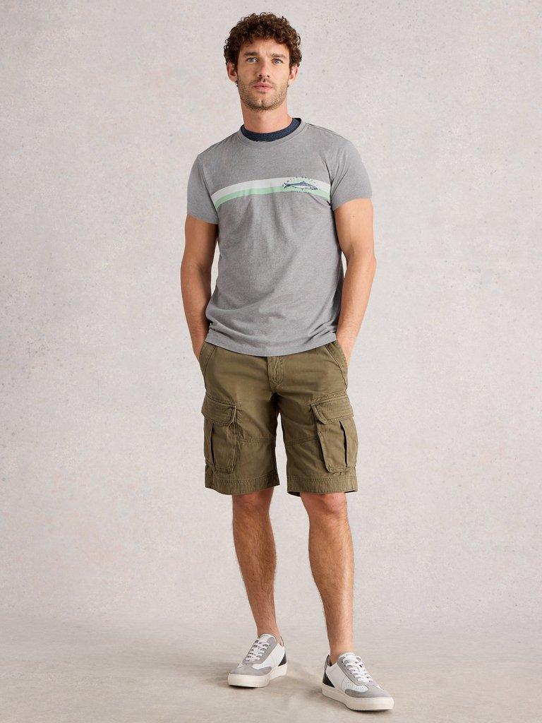 Abersoch Graphic Fish Stripe in GREY PR - MODEL FRONT