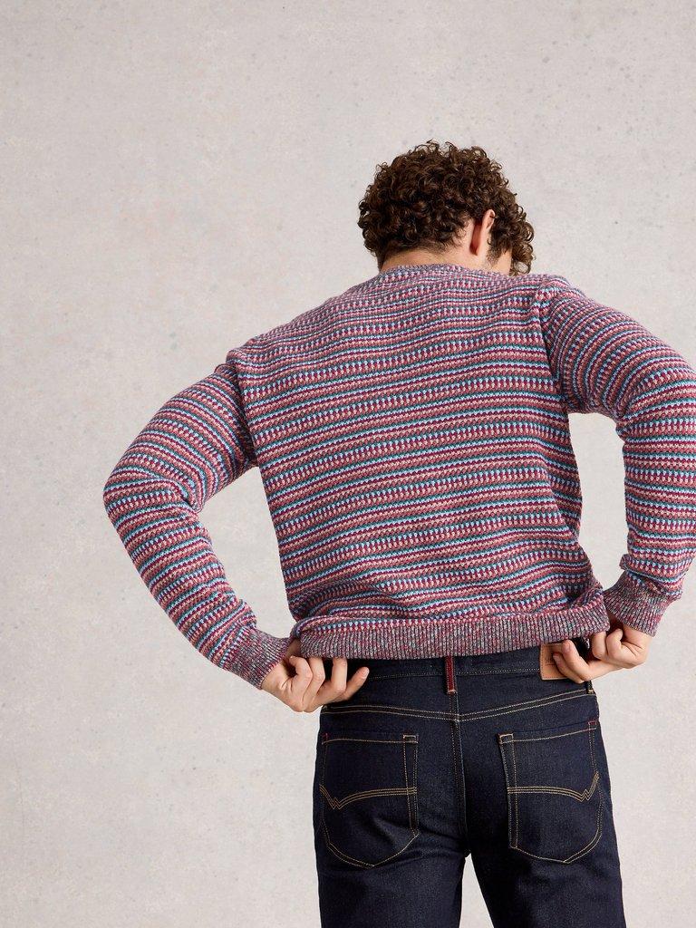 Textured Stripe Crew Neck in PINK MLT - MODEL BACK