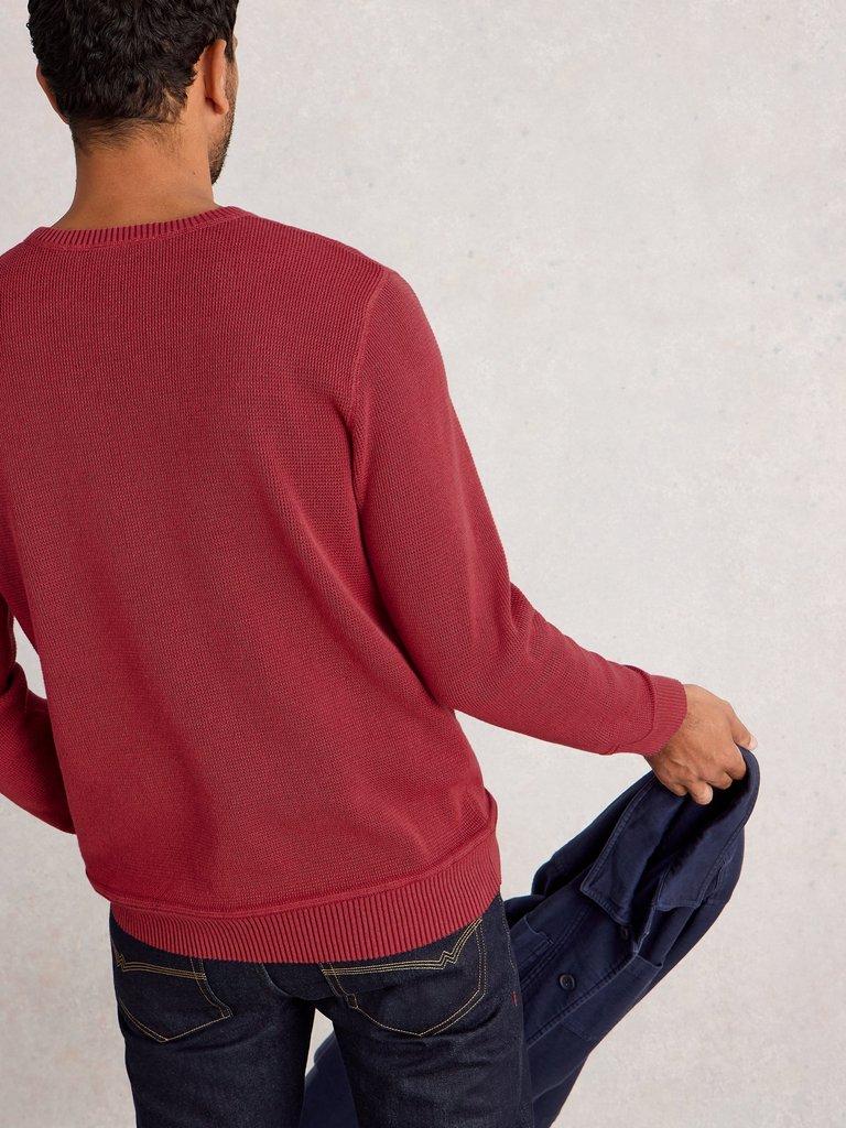 Attadale Crew Neck Long Sleeve Jumper in DK RED - MODEL BACK