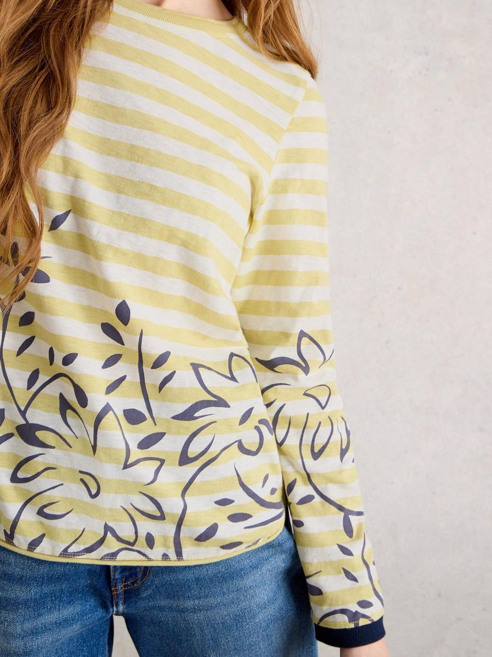 CLARA CREW NECK LONG SLEEVE TEE in CHART MLT - MODEL DETAIL