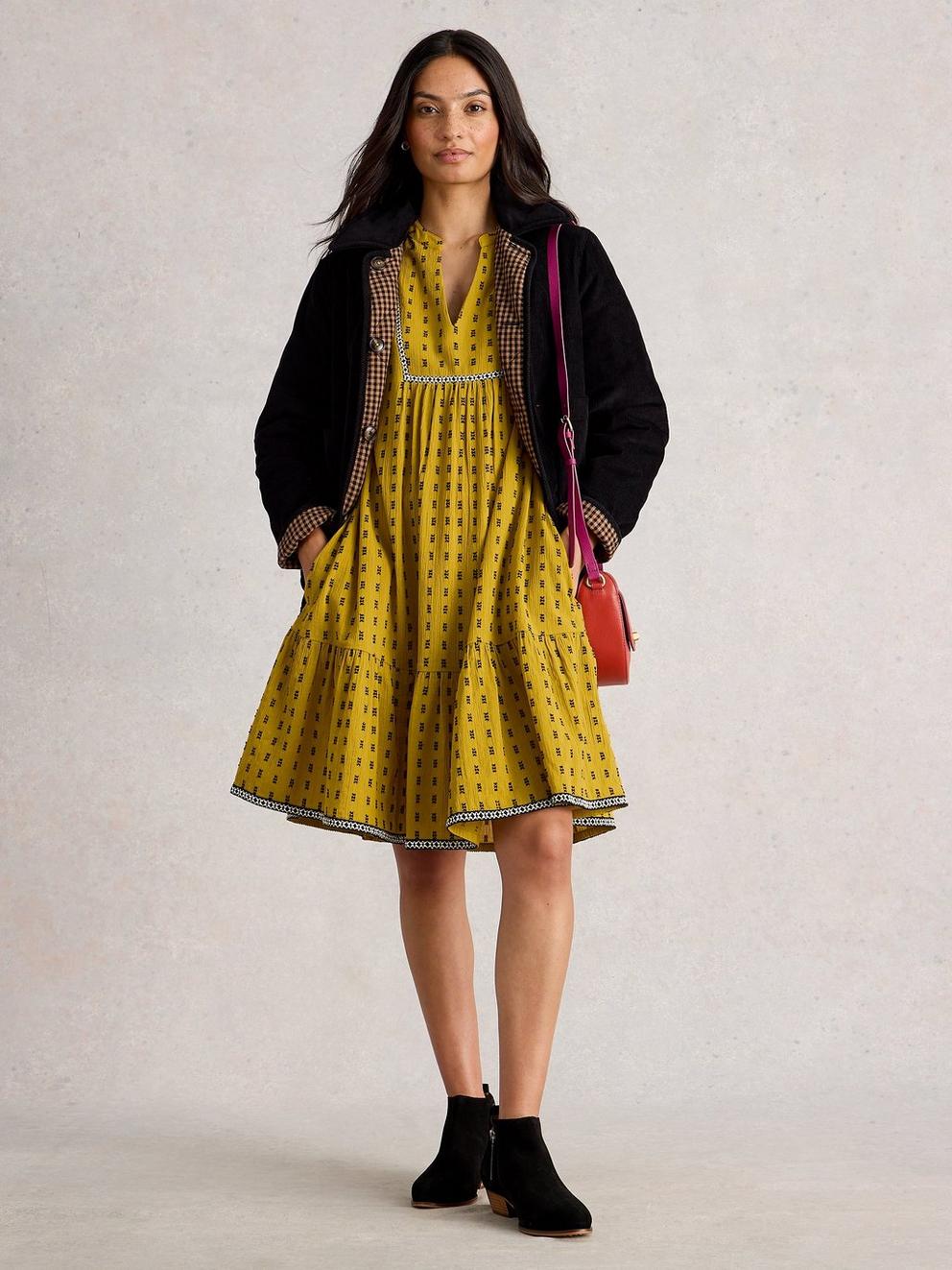 Orla Embroidered Dress in CHART MLT - MODEL FRONT