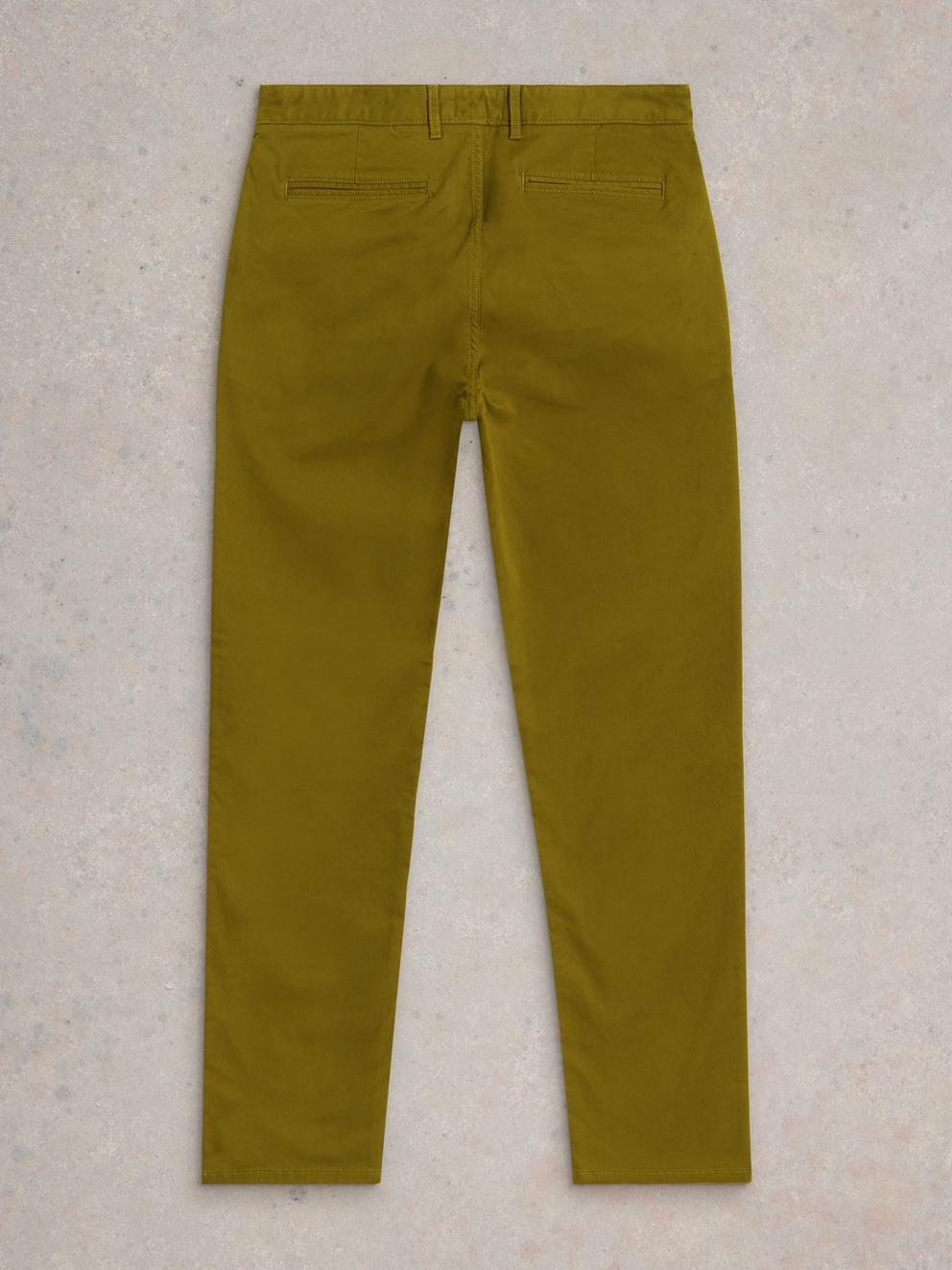 Elm Chino in DK GREEN - FLAT BACK