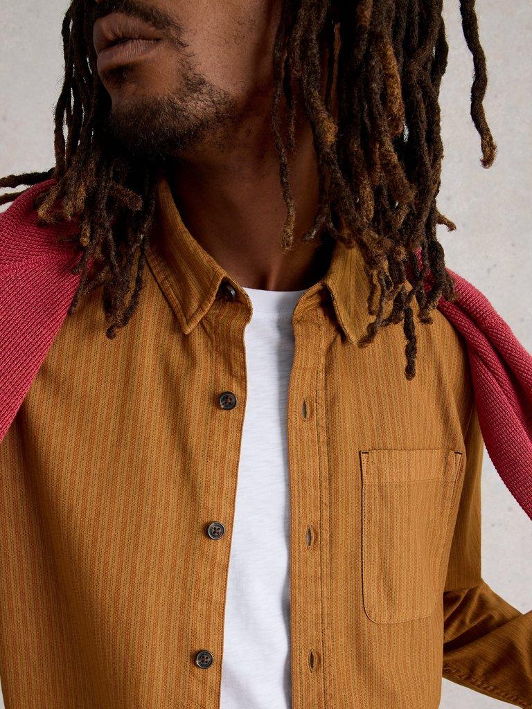 Bruton Striped Shirt in MID TAN - LIFESTYLE
