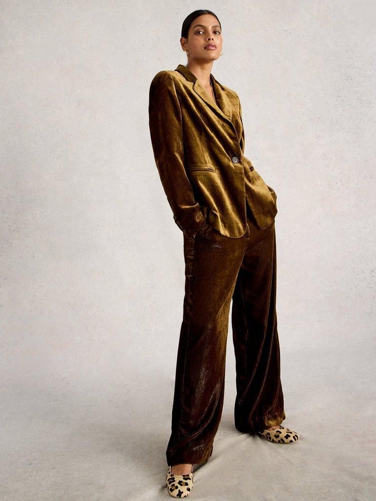 Evelyn Collared Velvet Blazer in DK CHART - MODEL FRONT