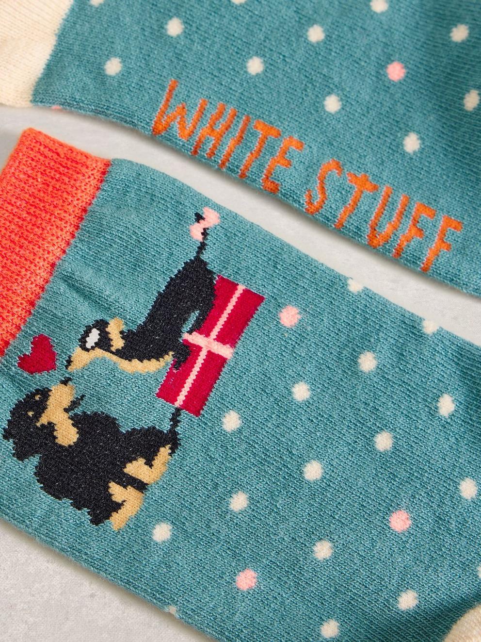 Xmas Dog Sock in a Cracker in BLUE MLT - FLAT DETAIL