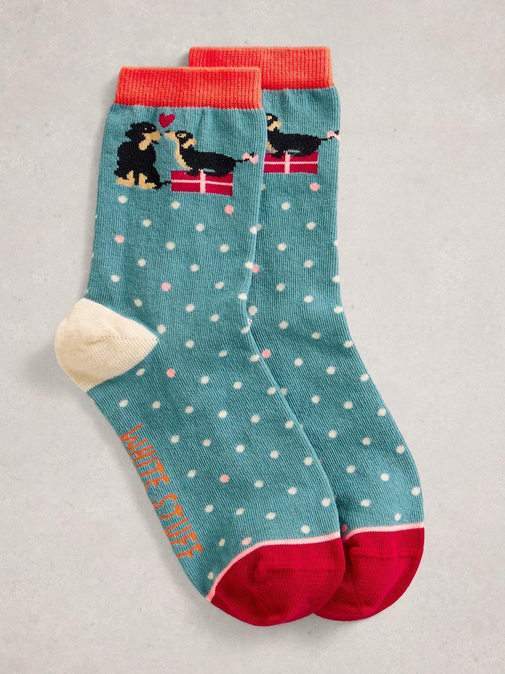 Xmas Dog Sock in a Cracker in BLUE MLT - LIFESTYLE