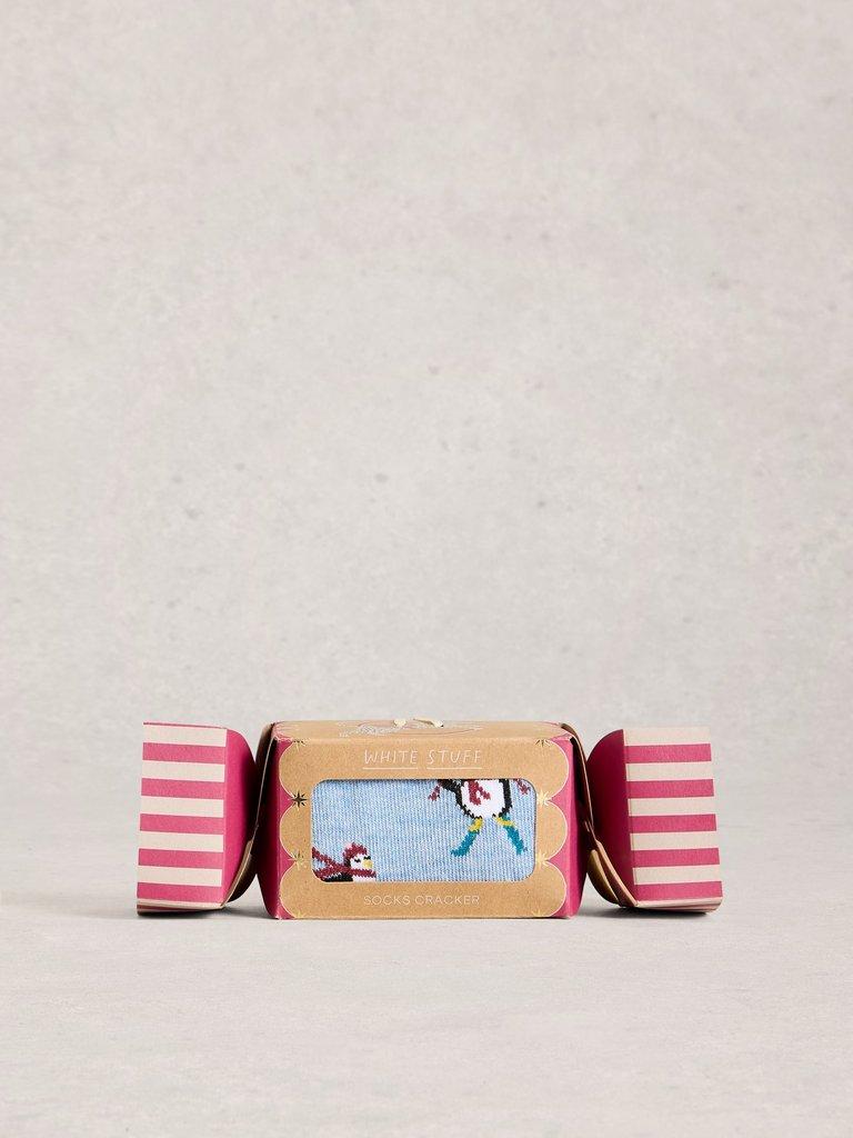 Ski Penguin Sock in a Cracker in BLUE MLT - FLAT FRONT