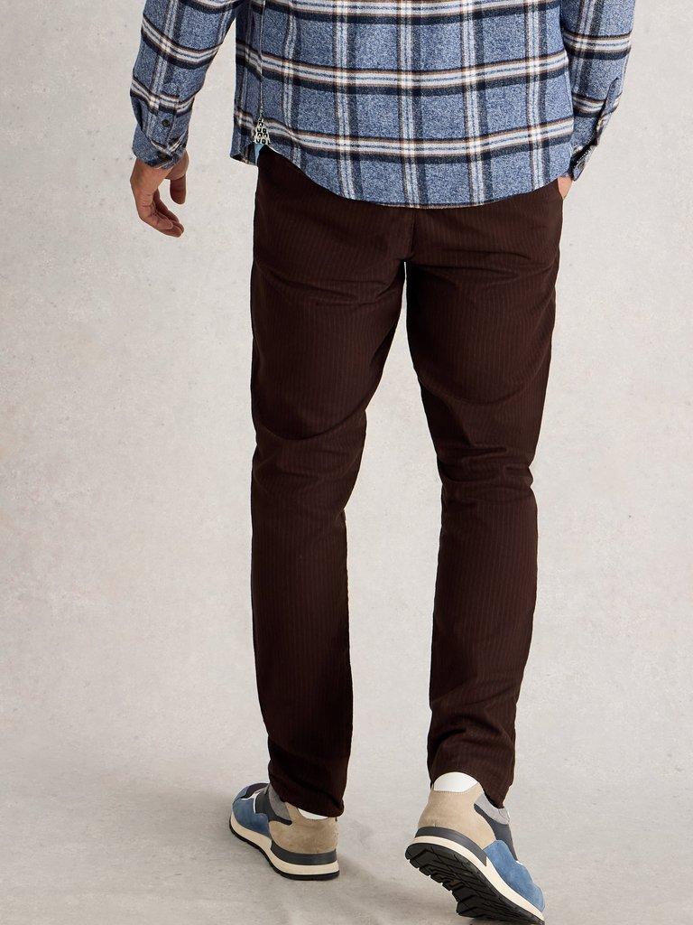 Pinstripe Drawstring Chino in BROWN MLT - MODEL BACK