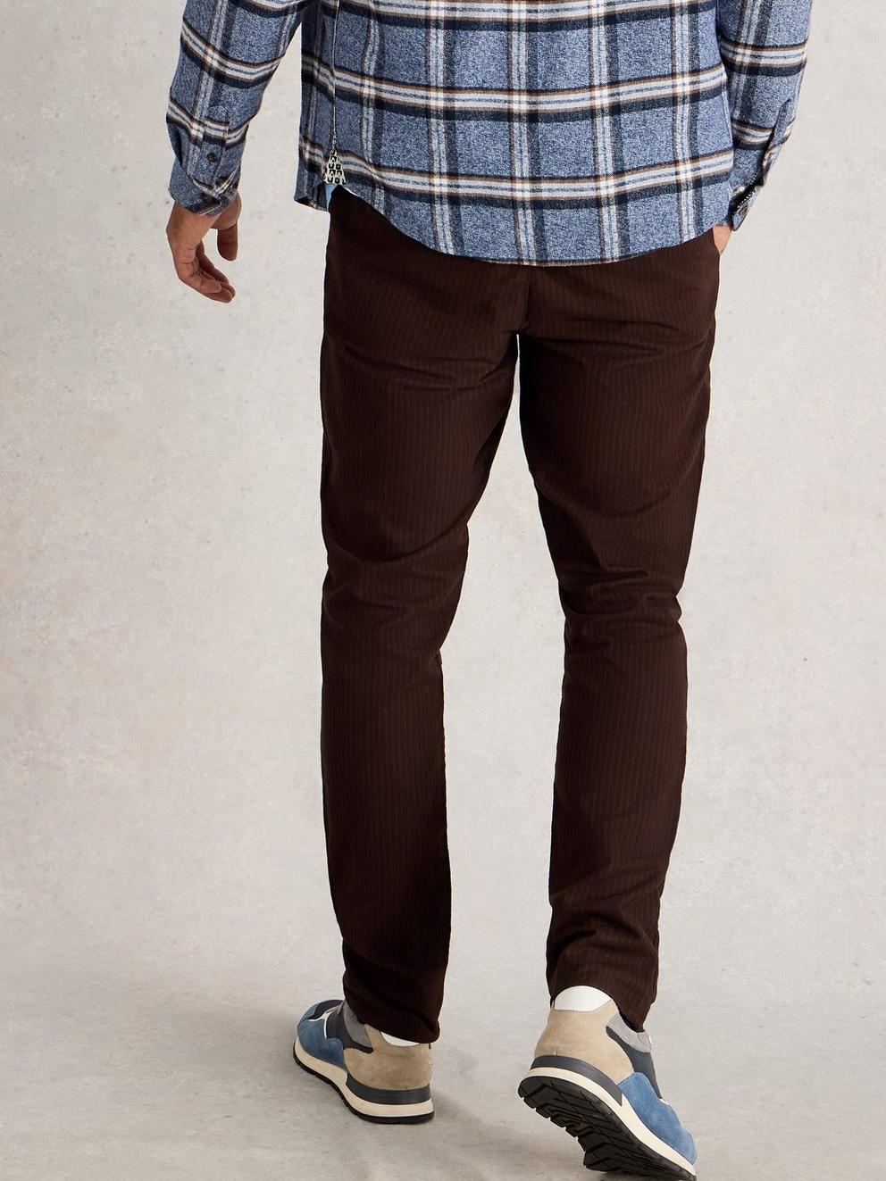 Pinstripe Drawstring Chino in BROWN MLT - MODEL BACK