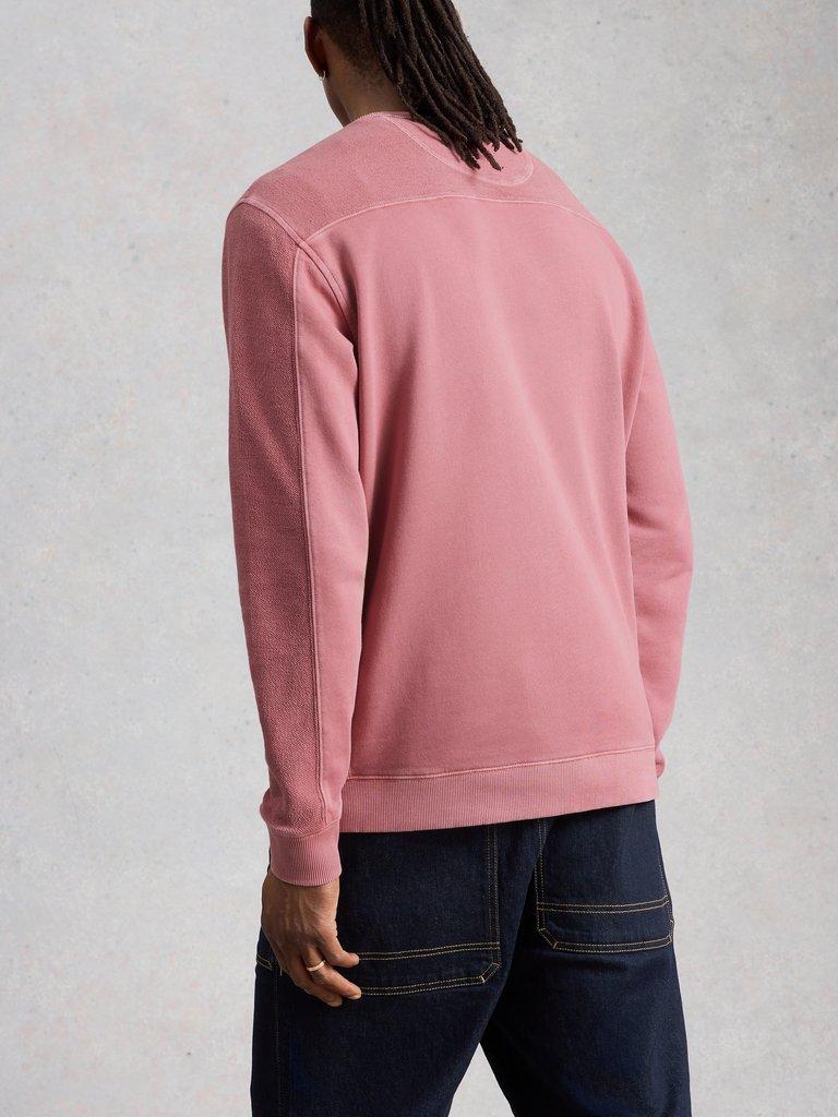 Sidmouth Crew Neck in LGT PINK - MODEL BACK