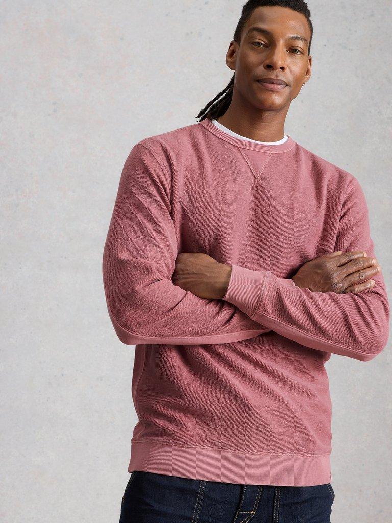 Sidmouth Crew Neck in LGT PINK - MODEL DETAIL