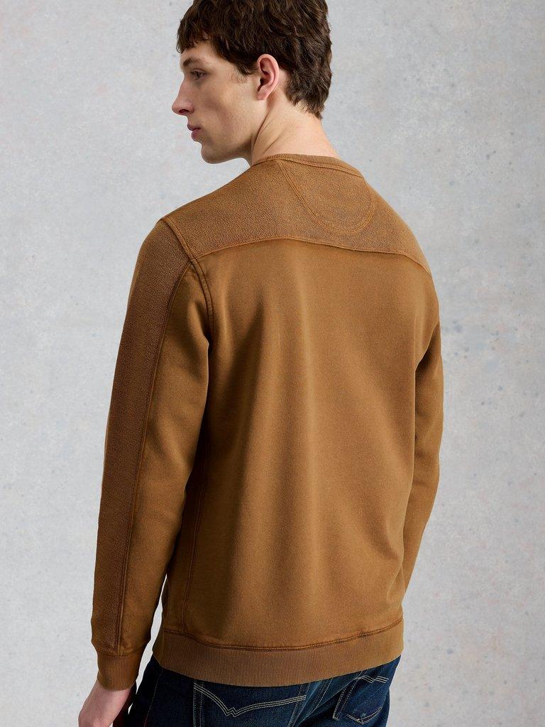 Sidmouth Crew Neck in MID TAN - MODEL BACK