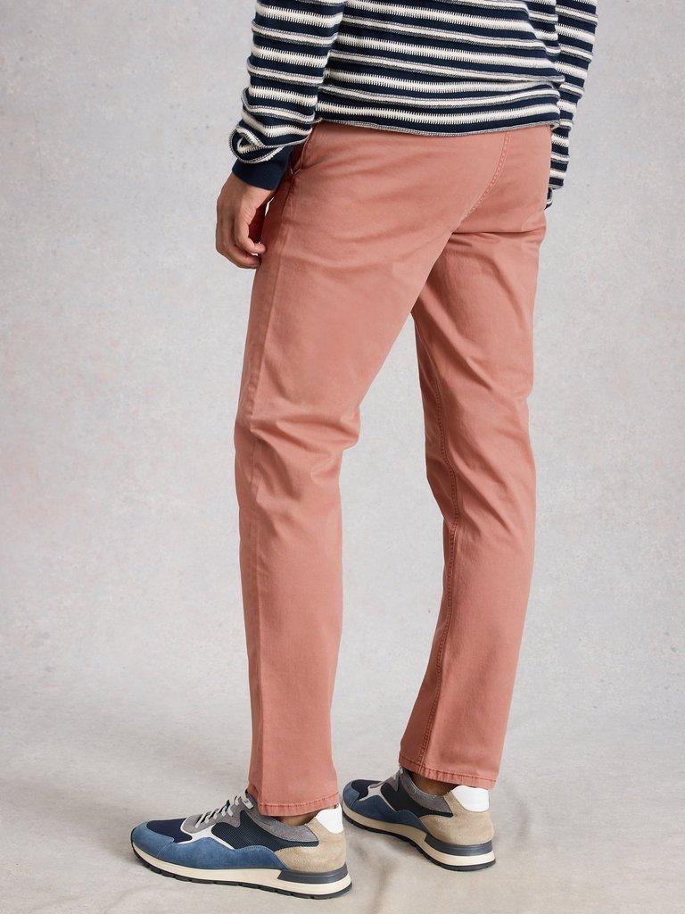 Sutton Chino Trouser Organic in DUS PINK - MODEL BACK