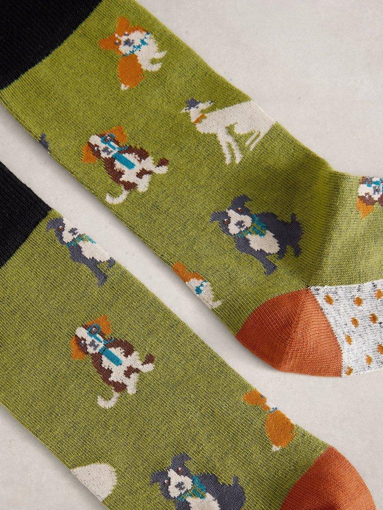 Dapper Dog Ankle Sock in GREEN MLT - FLAT DETAIL
