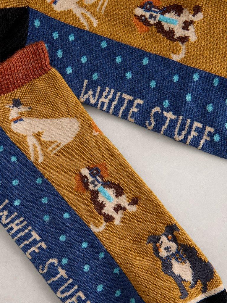 Dog Trainer Sock in CHART MLT - FLAT DETAIL