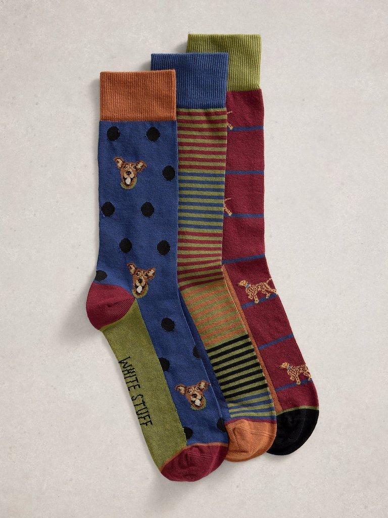 3PK Stripe Dog Socks in BROWN MLT - FLAT FRONT