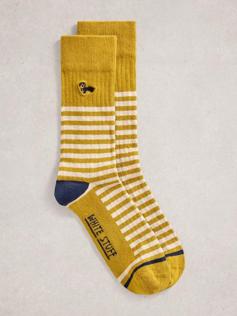 Sausage Dog Embroidered Sock in CHART MLT - FLAT FRONT