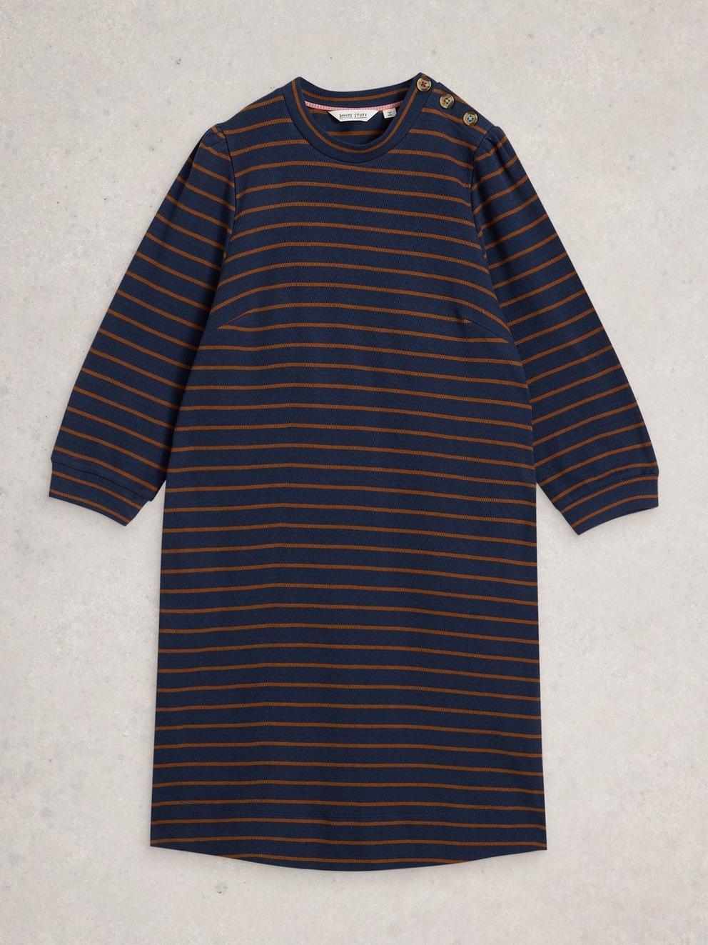 Amy Striped Dress in NAVY MULTI - FLAT FRONT