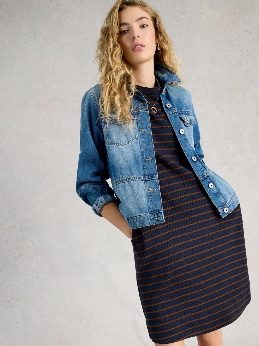 Amy Striped Dress in NAVY MULTI - LIFESTYLE