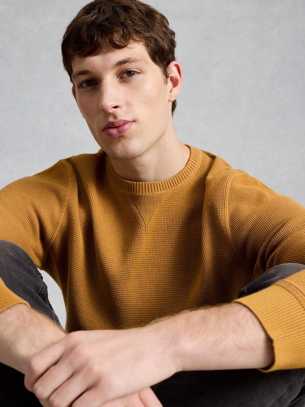 Attadale Long Sleeve Crew Neck Jumper in DUS YELLOW - LIFESTYLE