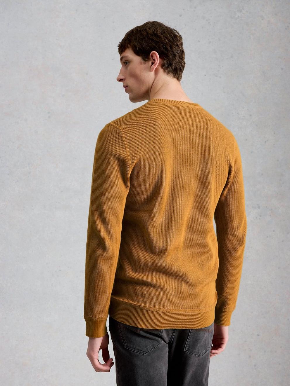 Attadale Long Sleeve Crew Neck Jumper in DUS YELLOW - MODEL BACK