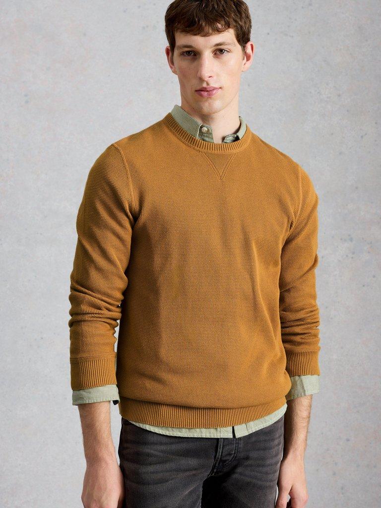 Attadale Long Sleeve Crew Neck Jumper in DUS YELLOW - MODEL DETAIL